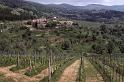 Italy 99 Tuscan Hills 2